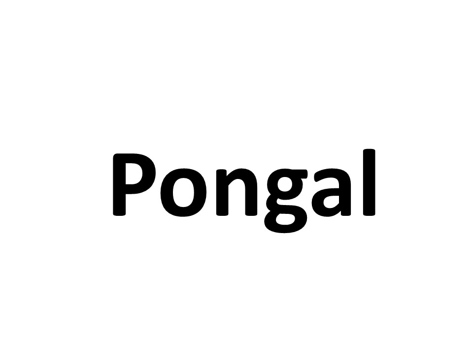 Pongal