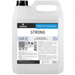 248-5 Профессиональное сильнощелочное моющее средство для пароконвектоматов Pro-Brite Strong / 5 л