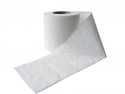 Туалетная бумага в стандартных рулонах Focus Economic, упак.(8 рулонов)